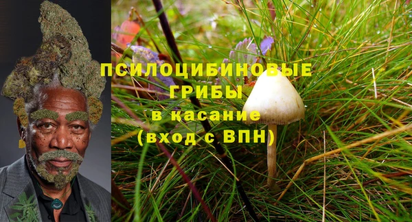соль ск Зерноград