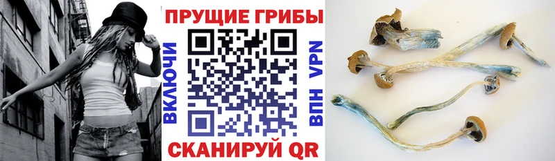 Купить закладки  Раменское  Галлюциногенные грибы мухоморы 